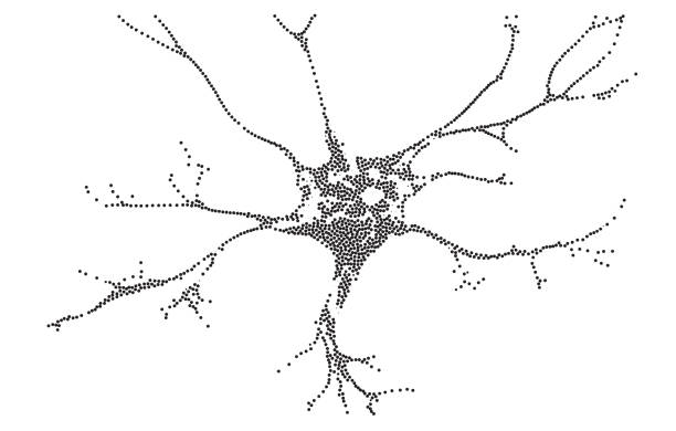 illustrazioni stock, clip art, cartoni animati e icone di tendenza di illustrazione vettoriale di dotwork puntinata neuronale - neurone