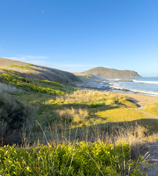 istock Rosetta Head From Victor Harbor Heritage Trail 2166385919