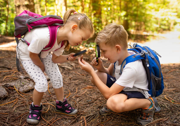 Curious kids in forest discovering and learning about nature.