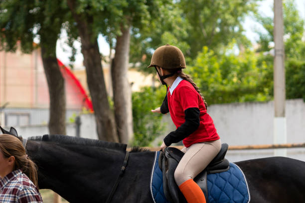 Horse friendship with human.