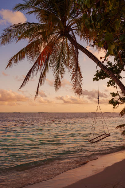 istock Maldivian tropical paradise beach during the sunset 2166404531