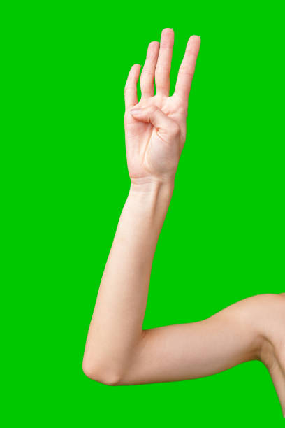 istock Woman's Hand Showing Three Fingers Raised Against a Green Screen Background 2166404794