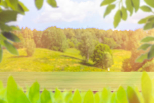 Template with a wooden surface on a background of a field and forest. Empty table framed by foliage.