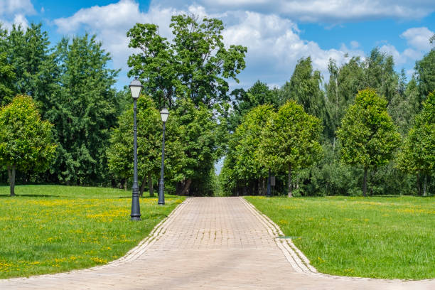 istock A fork in a paved road in a park. Empty background with space for walking and relaxing together. 2166407881