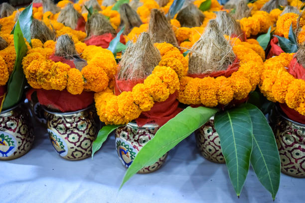 istock Kalash with coconut and mango leaf with floral decoration earthen pots containing sacred water. Kalash for hindu puja during Jagannath Temple Mangal Kalash Yatra, front view, closeup 2166408256