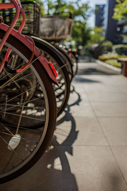 Bicycles are lined up in an orderly row, casting intricate shadows on the sunlit pavement of early morning. The background features trees and buildings, creating a peaceful urban scene.