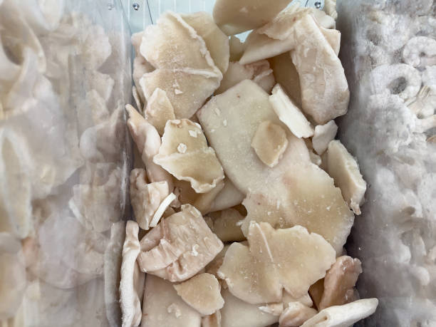 istock Frozen calamari, close-up. Frozen squid in a store. 2166409018