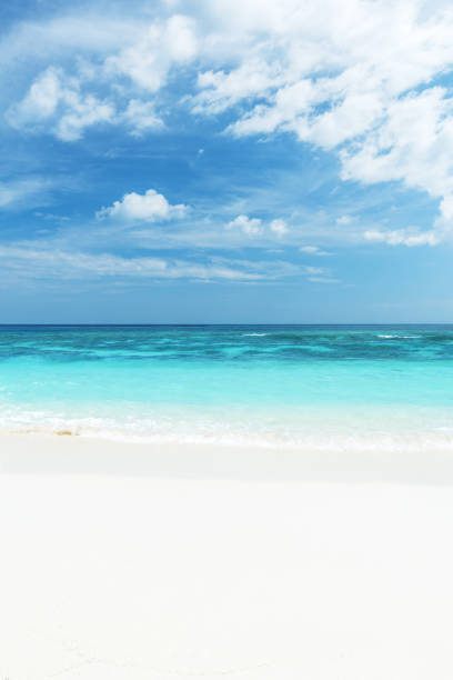 istock Tropical paradise beach scene for background or wallpaper 2166410054