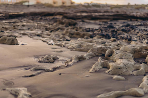 Sunrise light shining on ocean waves in Tenerife. High quality photo