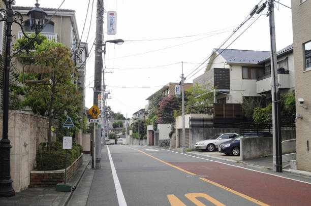 istock Residential streetscape 2166412360