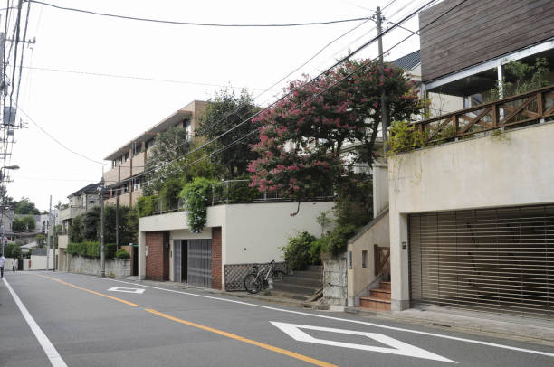 istock Residential streetscape 2166412396