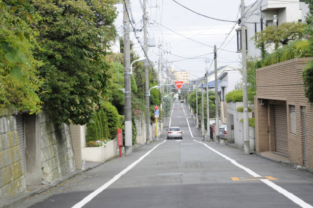istock Residential streetscape 2166412428