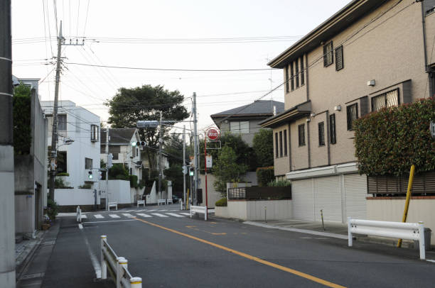 istock Residential streetscape 2166413139