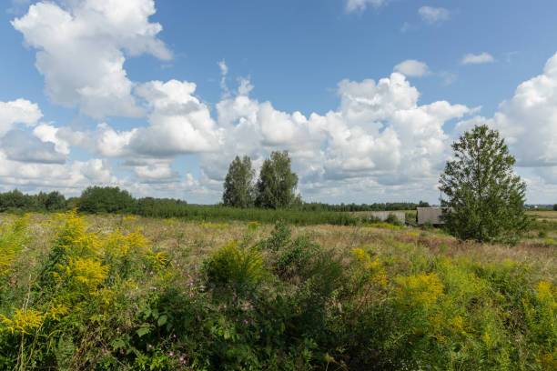 istock Typical eastern Europe countryside view in summer time 2166413461