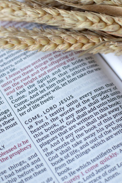 istock Come, LORD Jesus, biblical verses in open holy bible with wheat 2166414985