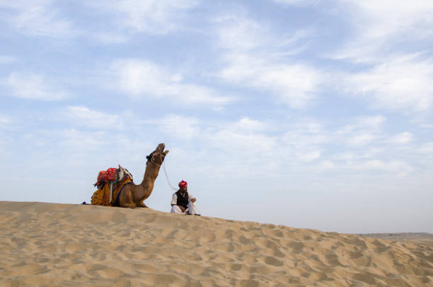 Caravan of camels on their way through the desert at sunset. Desert of Rajasthan, Pushkar, India.