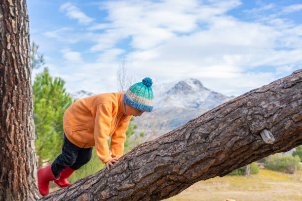 istock Boy climbing the trunk of a tree on a cold day in nature 2166420606
