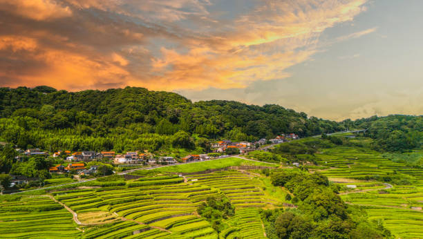 Scenery of Japanese 