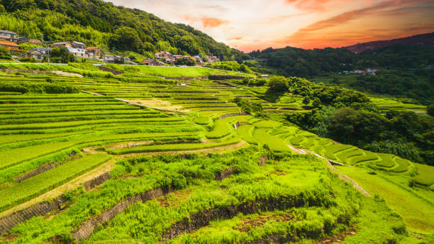 istock Scenery of Japanese 
