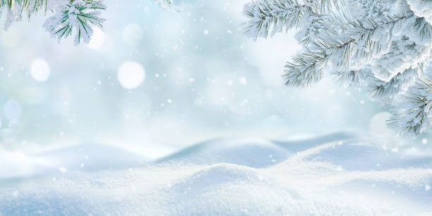 istock Original background image with close-up snowdrifts and spruce branches covered with snow. 2166423142