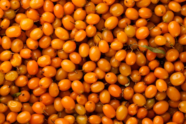istock Sea buckthorn berry background. Top view 2166429863