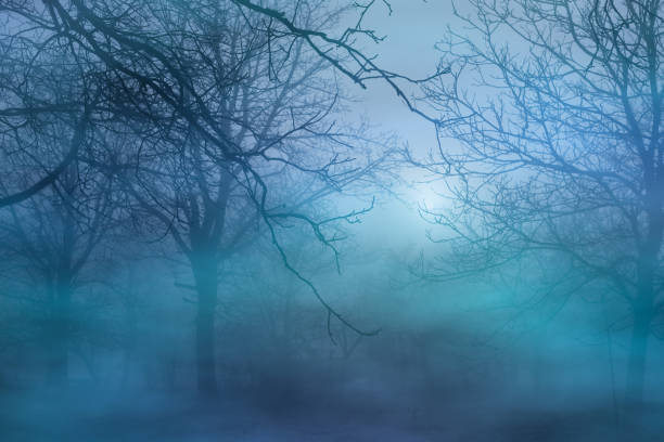 istock Rural landscape in fog 2166432874