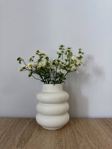 istock Summer white flower in vase 2166433359
