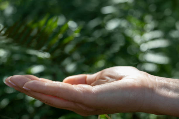 Close-up shot of hand gently touching and brushing through grass in the park outdoors, connecting with nature through the grounding practice
