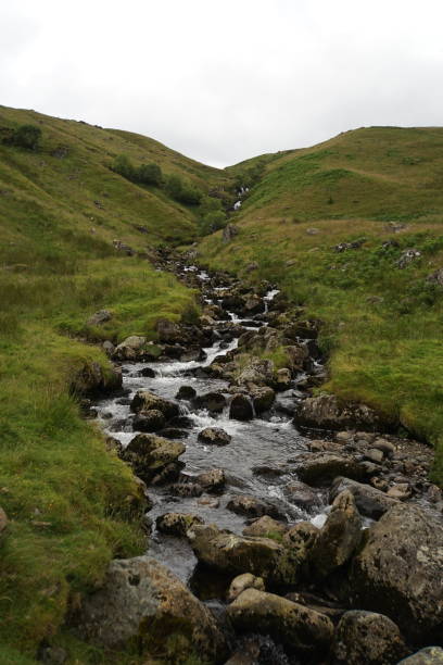 istock A Stream Near Glenridding 2 2166436927