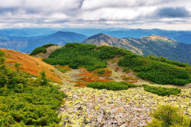 istock carpathian mountain autumn landscape 2166439349