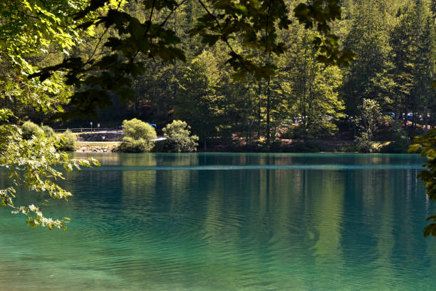 istock Laghi di Fusine 2166440497