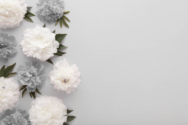 istock Fresh soft white and dark gray peony flowers with leaves on light gray table background. Empty place for emotional, sentimental text, quote or sayings. Closeup. Top down view. 2166441022
