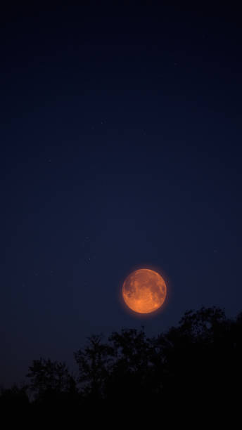 istock Full Moon, stars and landscape scenery silhouettes. 2166443865