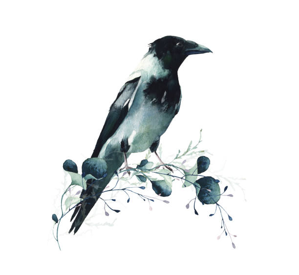 istock Watercolor floral wreath frame and crow. Blue, turquoise wild swamp branches, leaves. 2166447176