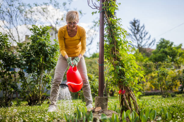 istock Senior woman gardening 2166447400