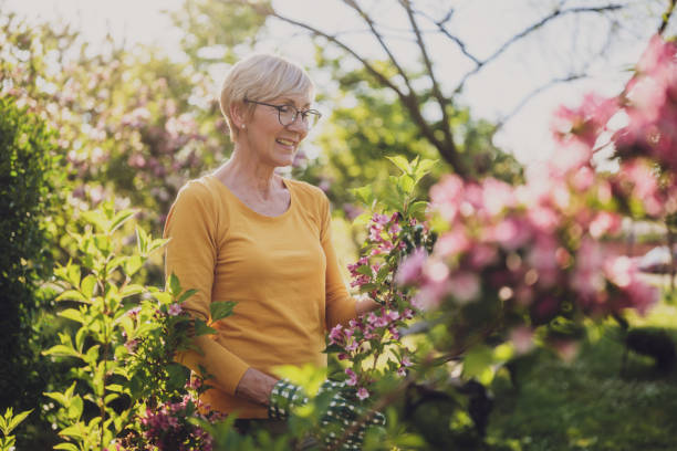 istock Senior woman gardening 2166447404