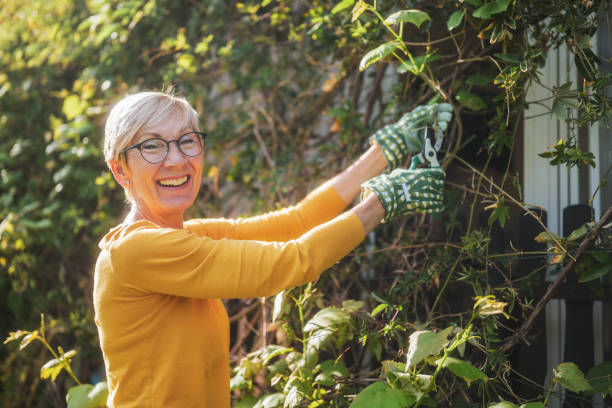 istock Senior woman gardening 2166447412