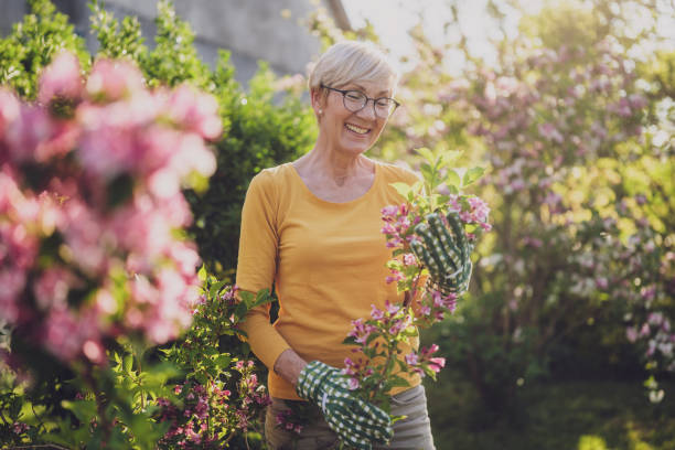 istock Senior woman gardening 2166447422