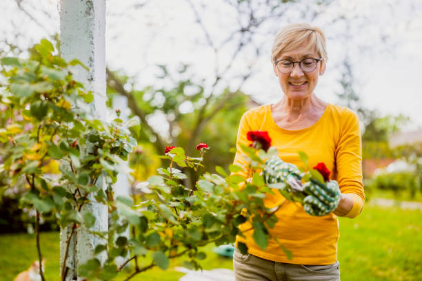 istock Senior woman gardening 2166447432