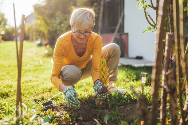 istock Senior woman gardening 2166447439