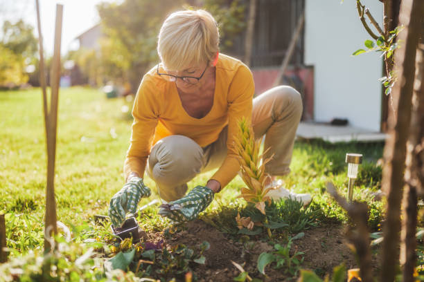 istock Senior woman gardening 2166447441