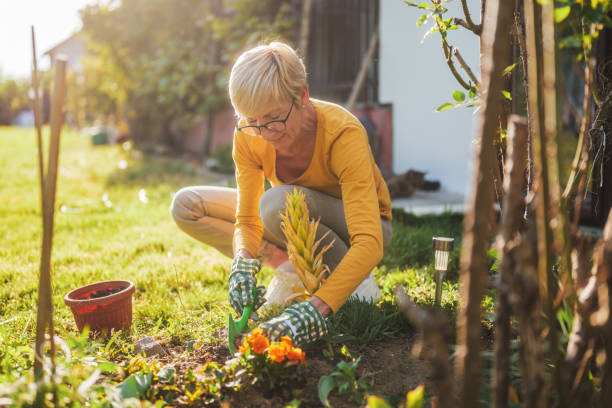 istock Senior woman gardening 2166447447