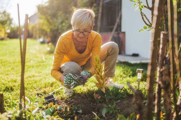 istock Senior woman gardening 2166447451