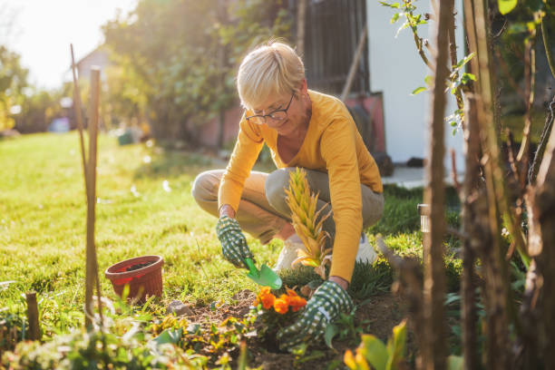 istock Senior woman gardening 2166447472
