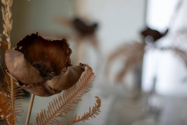 pretty dried flowers in the kitchen, different shades of brown and green