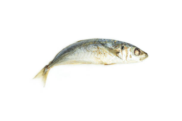 istock Mackerel fish isolated on white background, Seafood, Steamed fish 2166452122