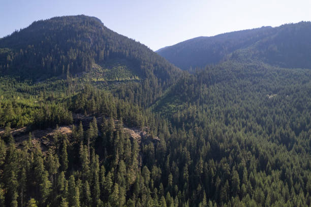 istock High angle view of forest and mountains 2166454687