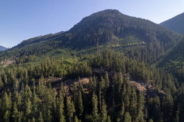 istock High angle view of forest and mountains 2166454690