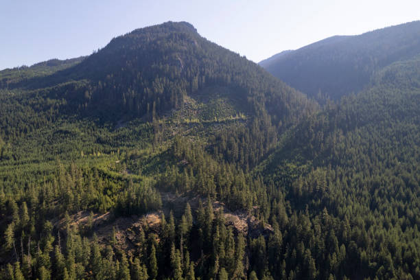 istock High angle view of forest and mountains 2166454742