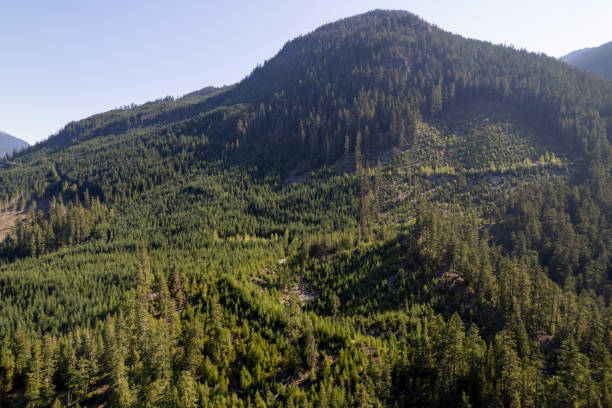 istock High angle view of forest and mountains 2166454757